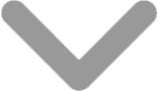 caret icon